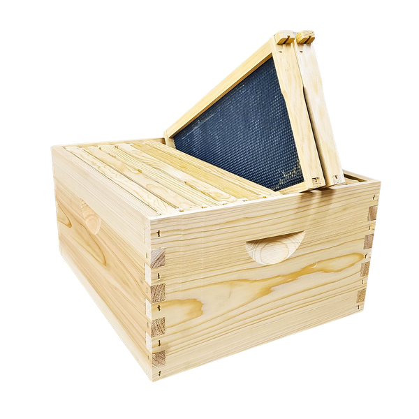 10-Frame Deep and Medium Box Hive Kit