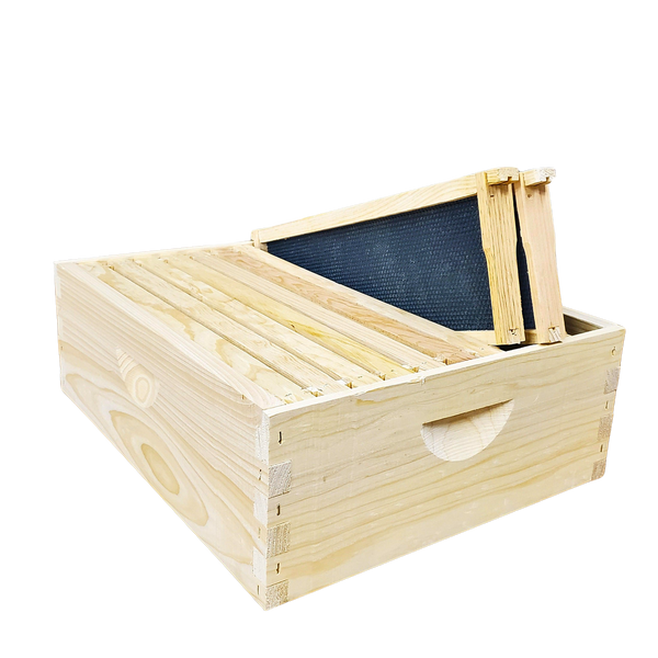 10-Frame Deep and Medium Box Hive Kit