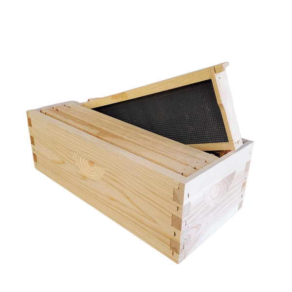 5-Frame Complete, Medium 6 5/8-inch Box with Frames and Foundation