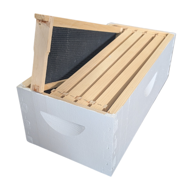 5-Frame Complete, Medium 6 5/8-inch Box with Frames and Foundation