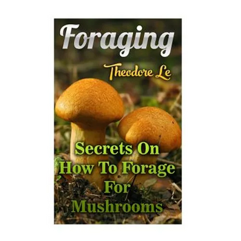 Foraging: Secrets On How To Forage For Mushrooms