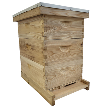 8-Frame All-Medium Box Hive Kit