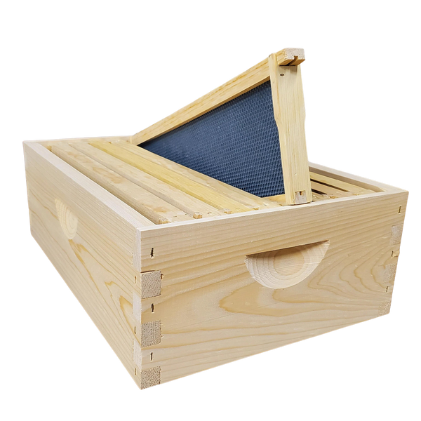 8-Frame Complete, Medium 6 5/8-inch Box with Frames and Foundation