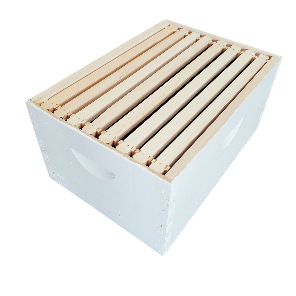 8-Frame Completed, Deep 9 5/8-inch Box with Frames and Foundation