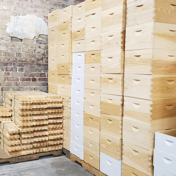 8-Frame Cypress Deep 9 5/8-Inch Brood Box