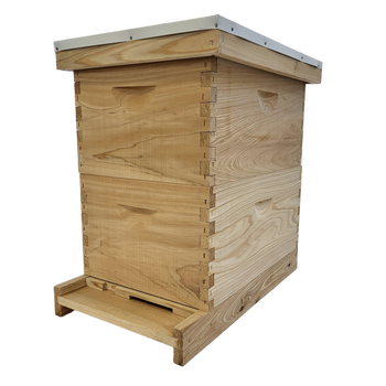8-Frame Double Deep Box Hive Kit