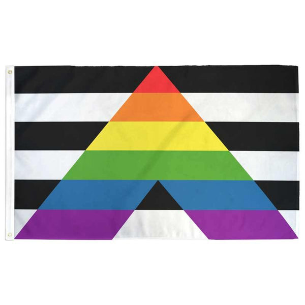 LGBTQ Ally Flag