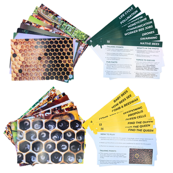 Educational Beekeeping Cards