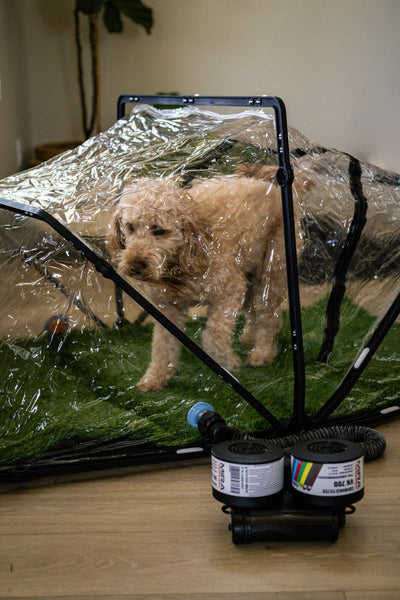 MIRA Safety First Breed Collapsible CBRN Animal Ark® Dog Gas Mask