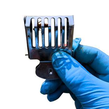 Queen Clip Stainless Steel