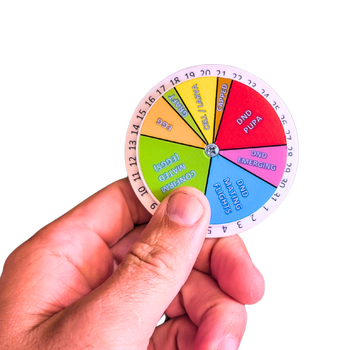Queen Right Dial - Mating Indicator