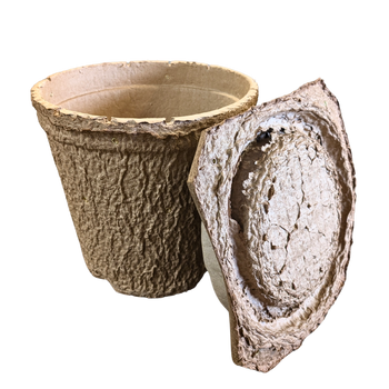 Swarm Trap - Pressed Flower Pot Style
