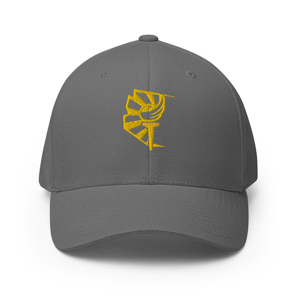 Arizona Libertarian Party Structured Twill Cap